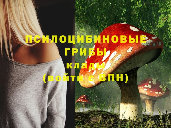 хмурый Беломорск