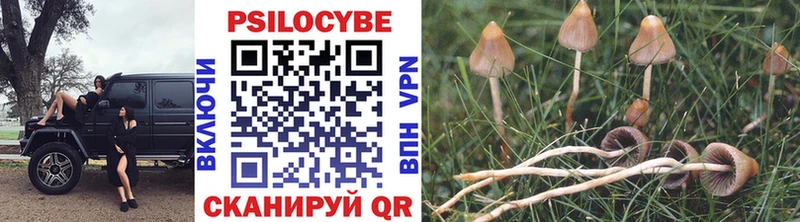 Псилоцибиновые грибы Psilocybine cubensis  Купить закладки  Лакинск 